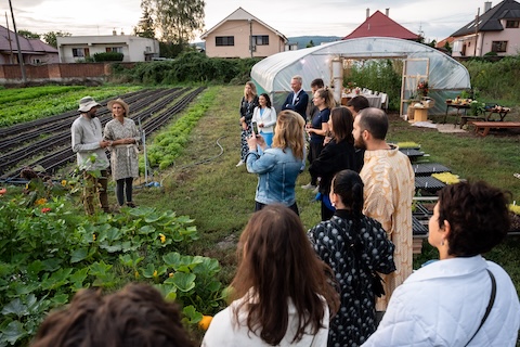 Vegget city farm